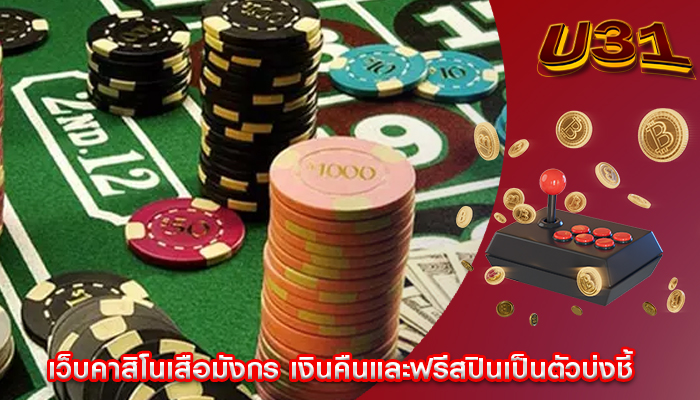 เว็บคาสิโนเสือมังกร เงินคืนและฟรีสปินเป็นตัวบ่งชี้